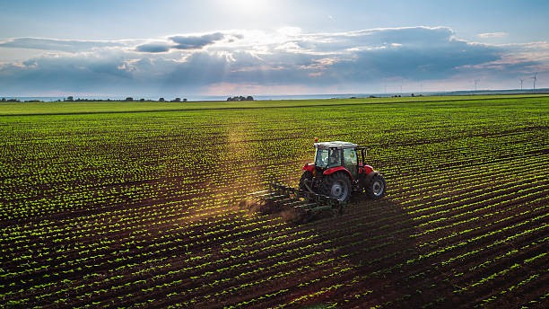 Terreni agricoli in Iași
